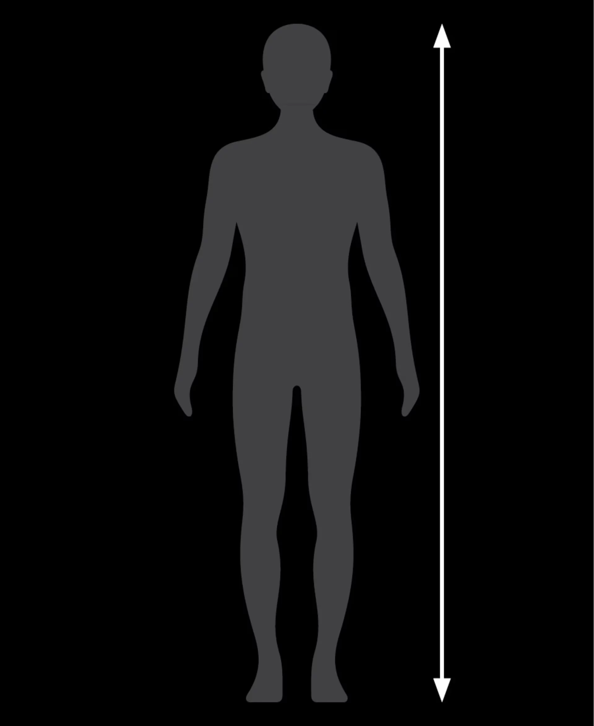 How tall are you?